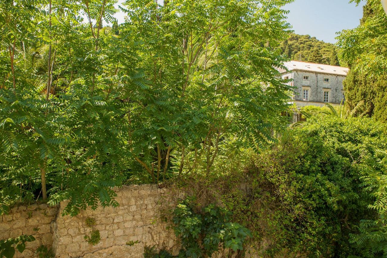 Niki Apartment Dubrovnik Ngoại thất bức ảnh