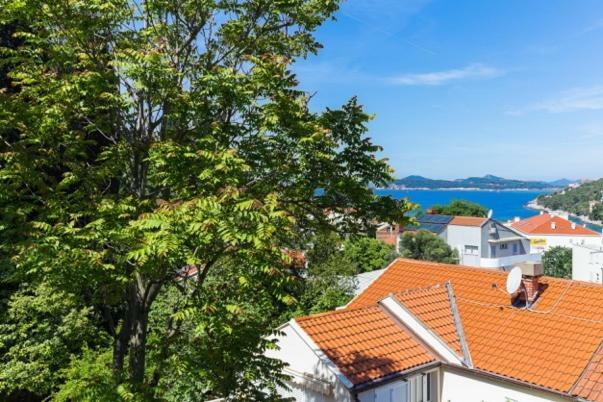 Niki Apartment Dubrovnik Ngoại thất bức ảnh